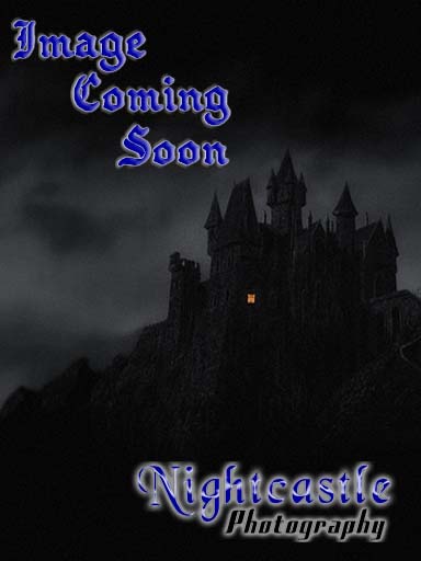 Nightcastle Photography Image Placeholder